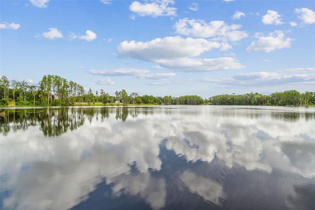 820 Newberger Rd, House other with 3 bedrooms, 2 bathrooms and null parking in LUTZ FL | Image 37