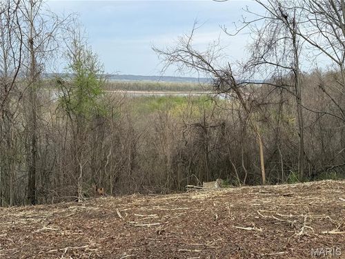 11365 River Hills Rd, Festus, MO, 63028-3732 | Card Image