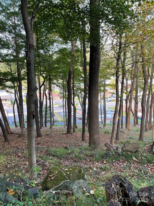 0 Burkett Ave, West Jefferson, NC, 28694 | Card Image