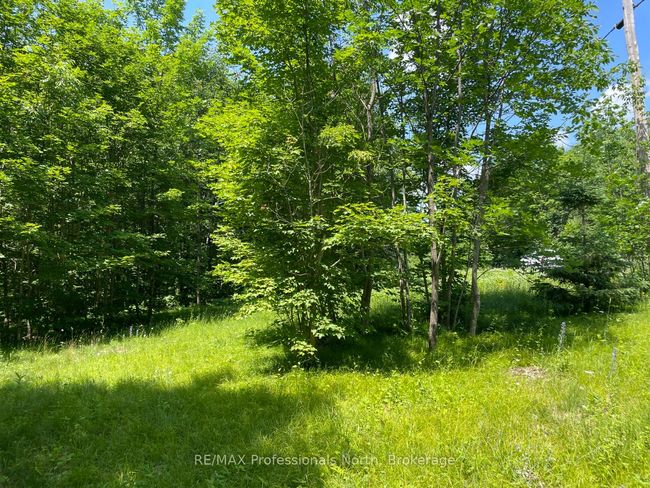 0 Glamor Lake Rd, Home with 0 bedrooms, 0 bathrooms and null parking in Gooderham ON | Image 5