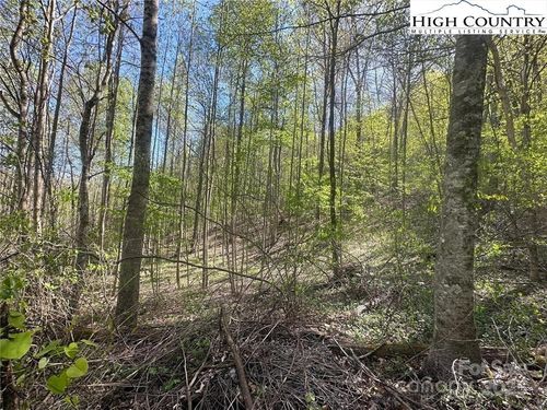 27-TBD Quail Hollow Drive, Jefferson, NC, 28640 | Card Image