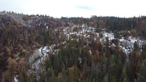 0 Woodland Rd, Shaver Lake, CA, 93664 | Card Image