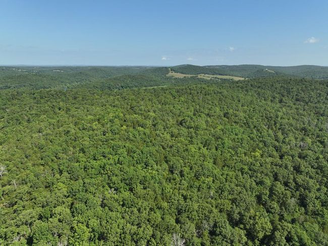 dji_fly_20250620_102538_0017_17504331129 | Image 29