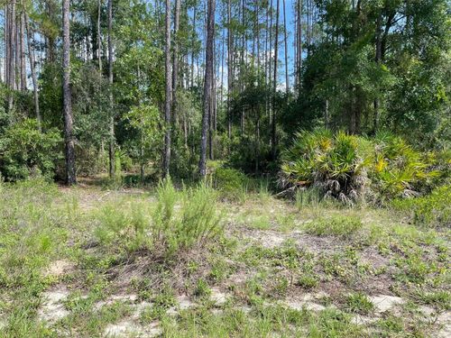 LOT 23 Sw Tiger Lake Blvd W, Dunnellon, FL, 34431 | Card Image
