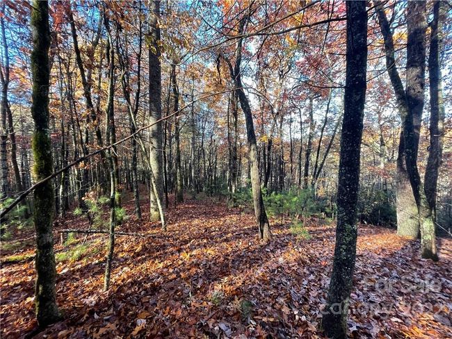 4 - 9999 Sassafras Ln, Home with 0 bedrooms, 0 bathrooms and null parking in Cedar Mountain NC | Image 14