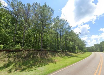 2950 Johnson Mill Road, Home with 0 bedrooms, 0 bathrooms and null parking in Hamilton GA | Image 2