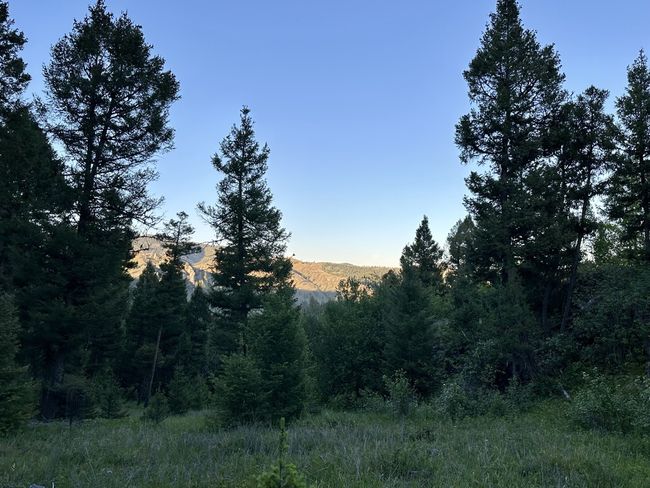 View out kitchen door | Image 6