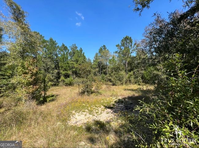 0 John S Horton Rd, Home with 0 bedrooms, 0 bathrooms and null parking in Adrian GA | Image 25