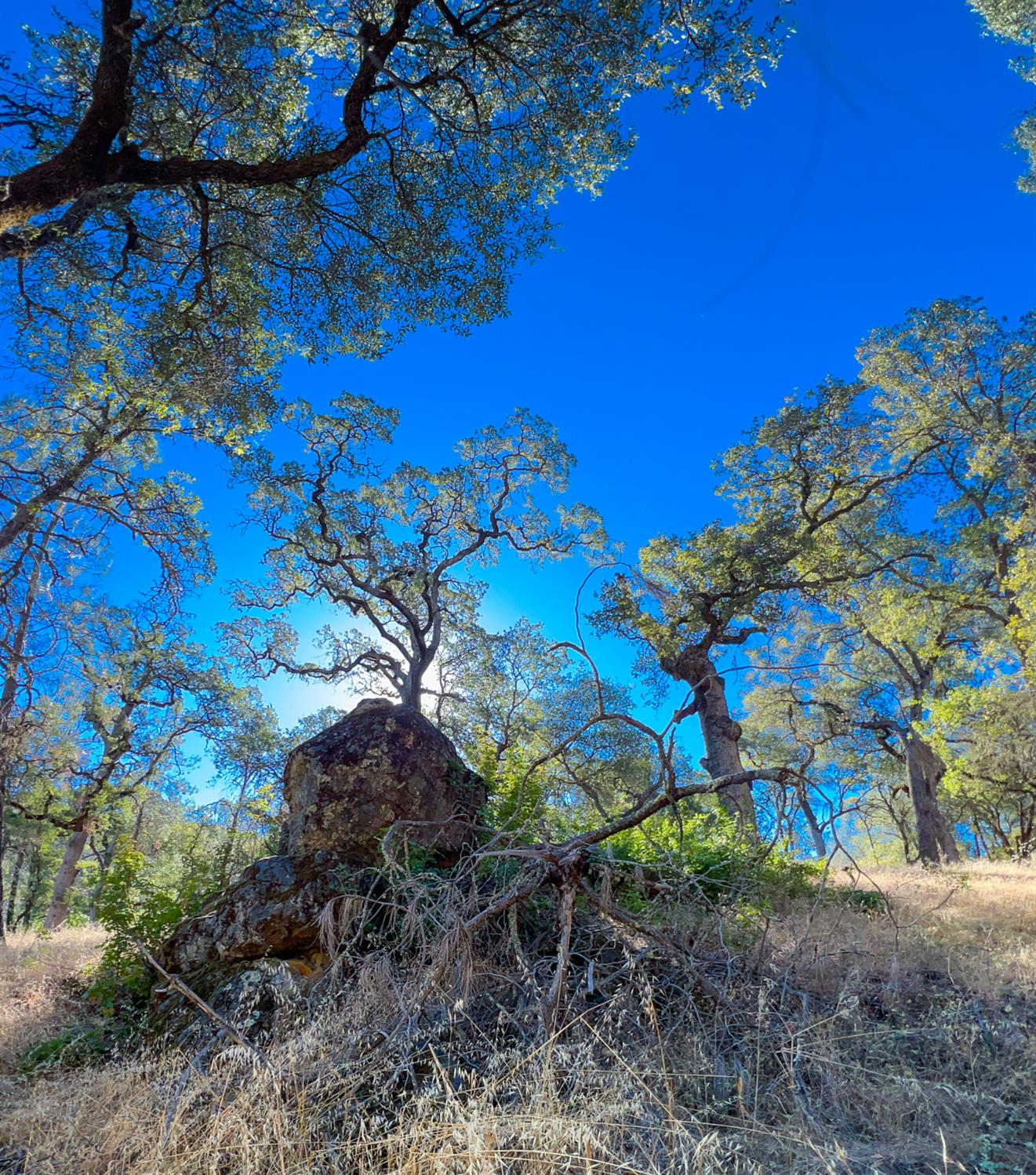 Land in Placerville 5