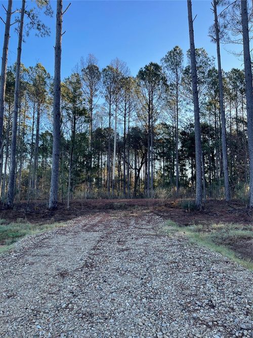 11362 Annie Creek Drive, Willis, TX, 77378 | Card Image