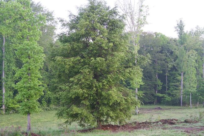 40.46AC Barker Cove Loop, Home with 1 bedrooms, 1 bathrooms and null parking in Palmer TN | Image 28