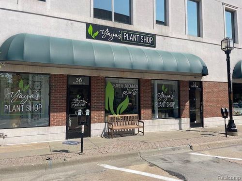 103-36 New St, Mount Clemens, MI, 48043-5606 | Card Image