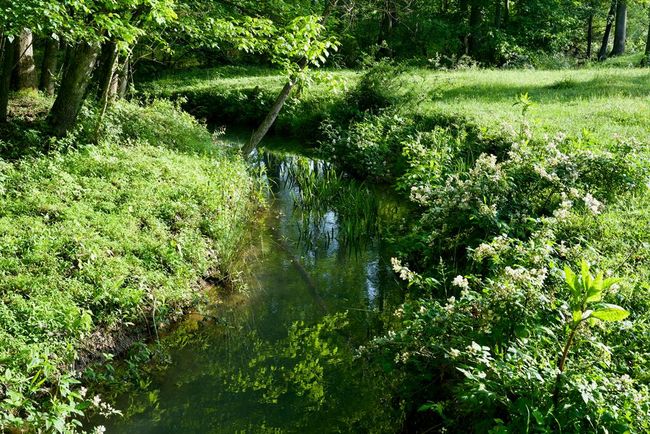 40.46AC Barker Cove Loop, Home with 1 bedrooms, 1 bathrooms and null parking in Palmer TN | Image 17