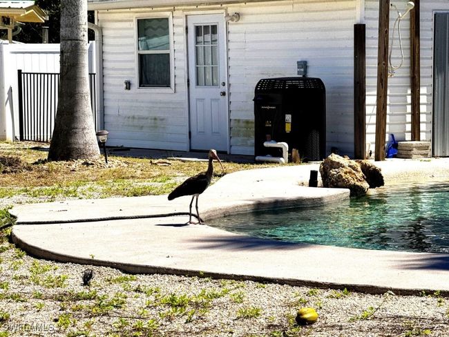 3348 6 Th Ave, House other with 1 bedrooms, 1 bathrooms and null parking in St. James City FL | Image 35