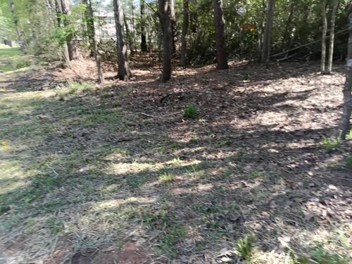 1008 White River Rd, Montgomery, TX, 77316-5167 | Card Image