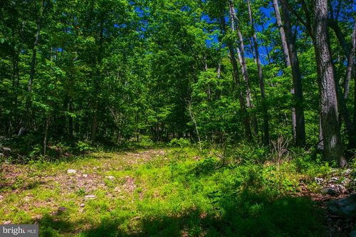 Lot 37 Poplar Trl, WINCHESTER, VA, 22602 | Card Image