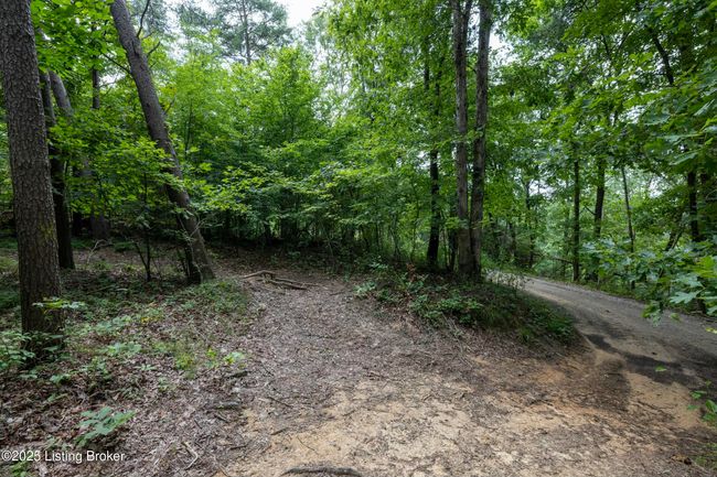 7 Vanmeter Cemetery Rd, Home with 0 bedrooms, 0 bathrooms and null parking in Bee Spring KY | Image 7