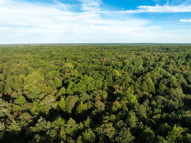 Birds eye view of property featuring a view of trees | Image 32