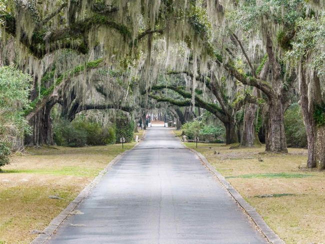 View of street | Image 14