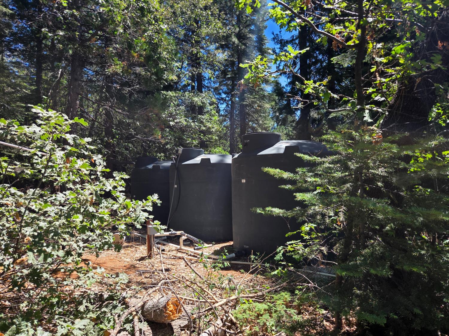 Residential in Nevada City 5
