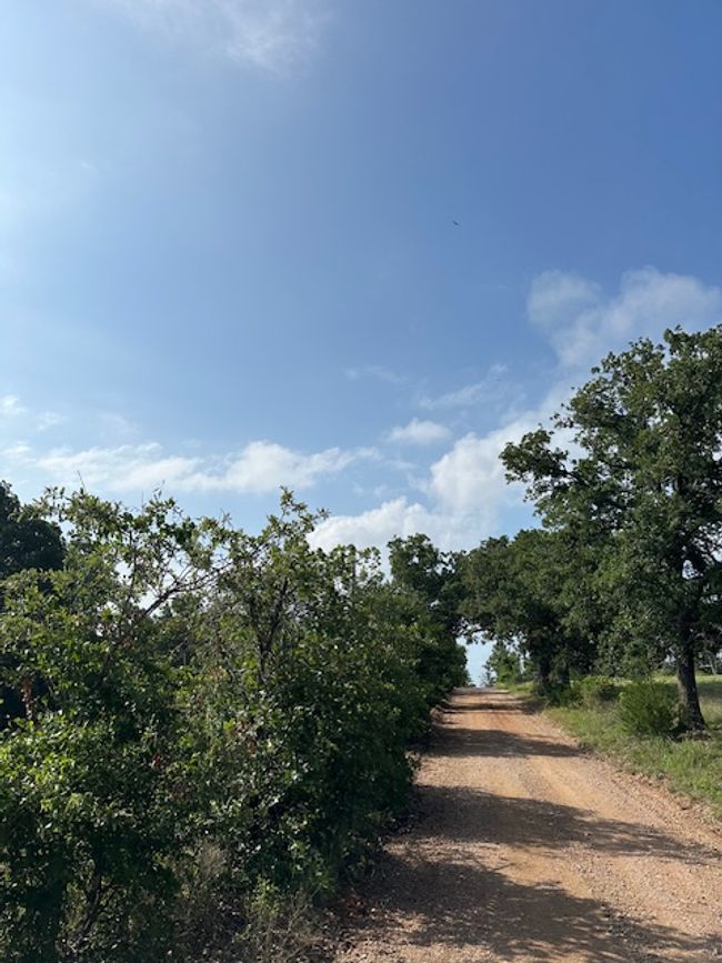 View of dirt / gravel road | Image 5