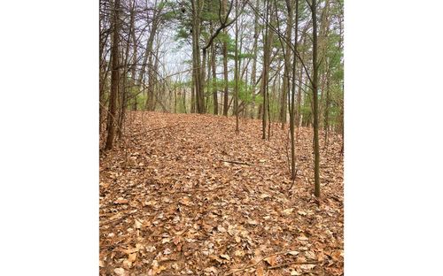 LOT 7 Brushy Top Drive, Ellijay, GA, 30705 | Card Image