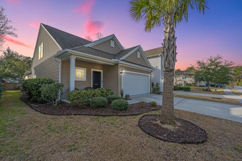 3825 Tupelo Branch Row, Mount Pleasant, SC, 29429-4983 | Card Image