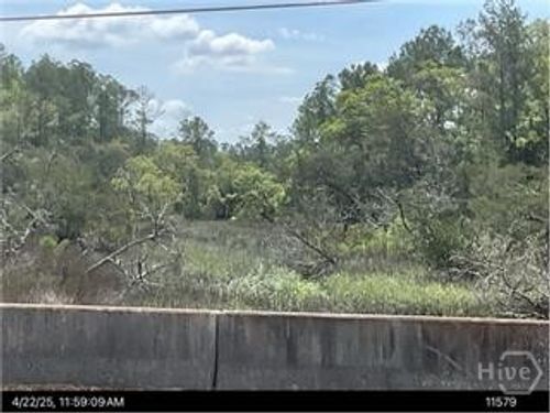 0 Belle Hammock Rd Ne, Townsend, GA, 31331 | Card Image