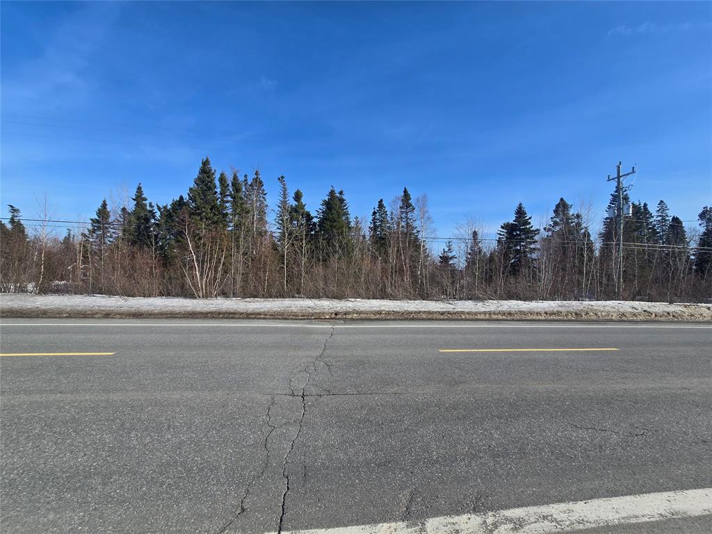 Land in Grand Falls-Windsor 3