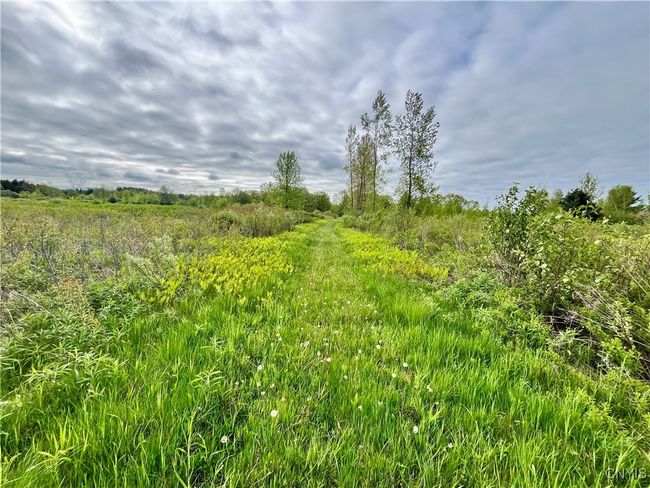 37224 County Route 4, Home with 0 bedrooms, 0 bathrooms and null parking in Clayton NY | Image 16