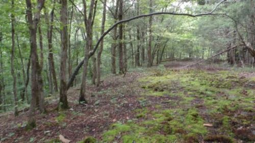2.64ac Gainesboro Hwy, Celina, TN, 38551 | Card Image