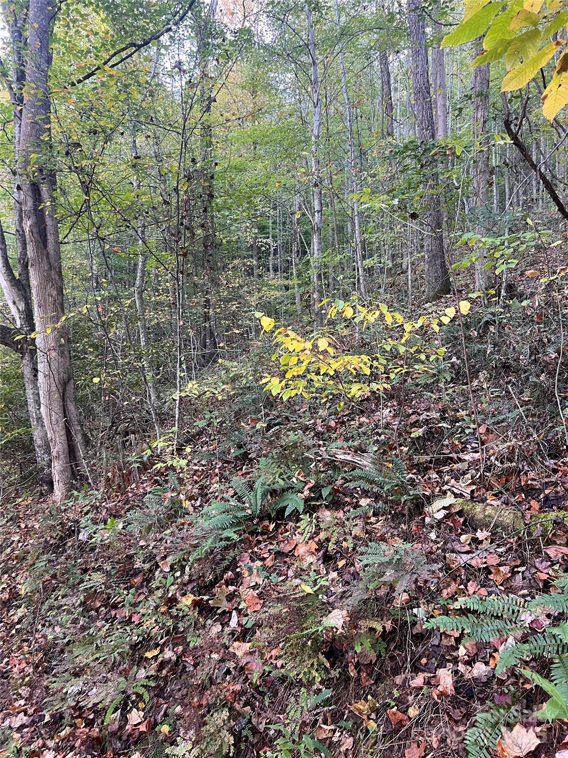 Land in Hot Springs