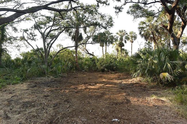 7610 Anna Ave, Home with 0 bedrooms, 0 bathrooms and null parking in GIBSONTON FL | Image 8