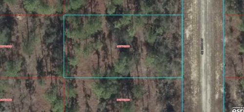 06877-028-00 Se 135th Court, WILLISTON, FL, 32696 | Card Image
