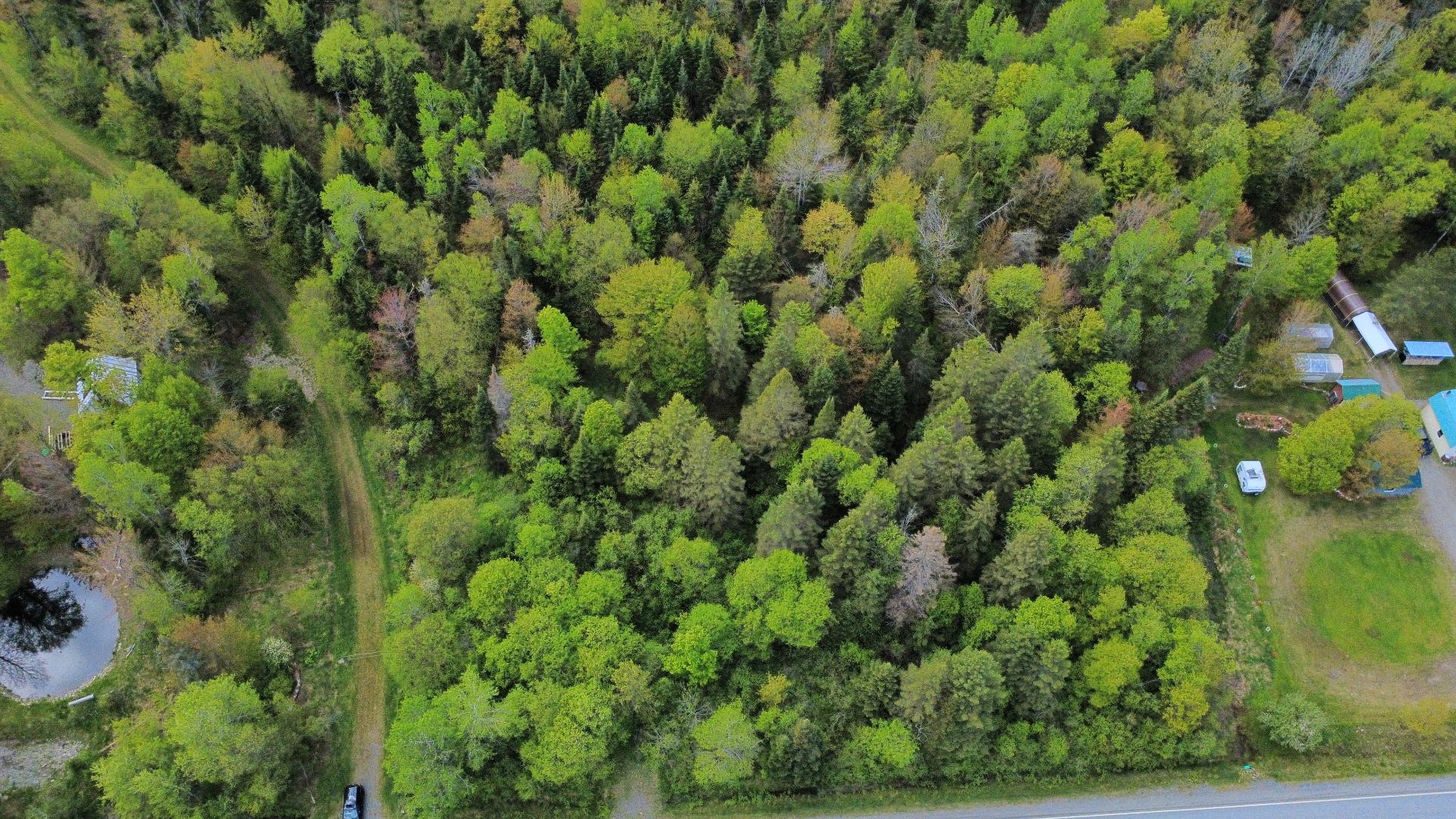 Land in La Patrie 4