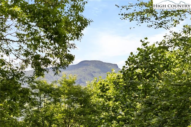 Grandfather Mountain | Image 13