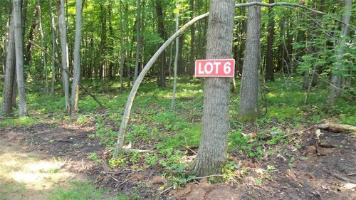 Lot 6 Howard Johnson Trl, Siren, WI, 54872 | Card Image