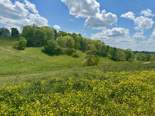 tract-28-950 Pittsburg Landing, London, KY, 40741 | Card Image