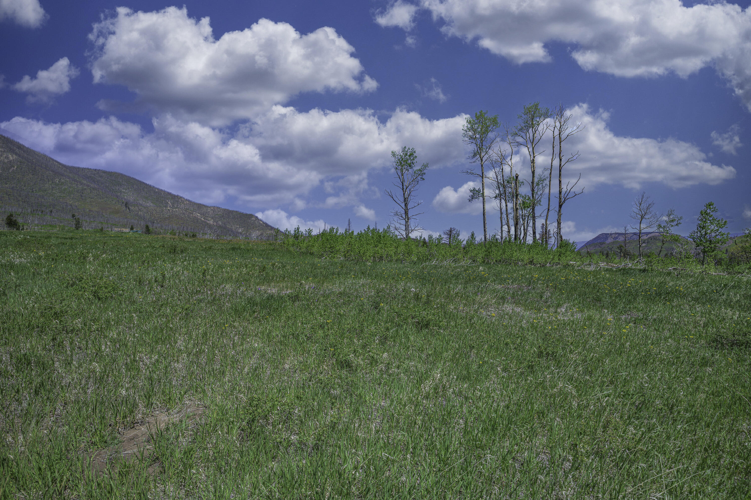 Land in La Veta 5