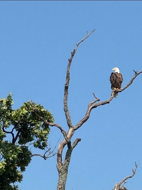 00 Pr 5911, Yantis, TX, 75497 | Card Image