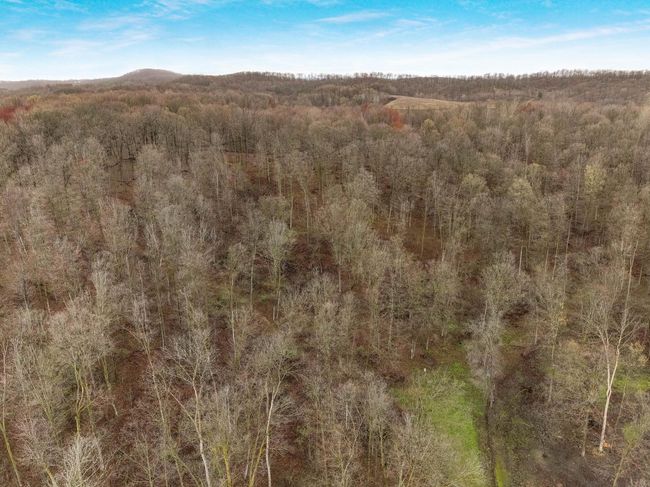 008_dji_0609_769.jpg | Image 8