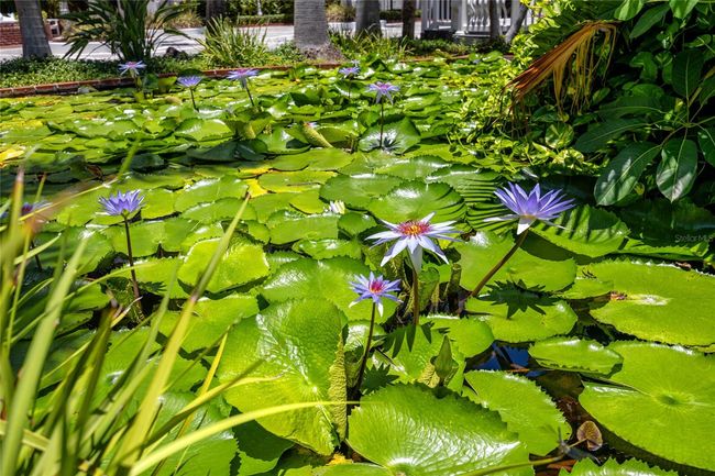 3219 - 5500 Gulf Blvd, Condo with 1 bedrooms, 1 bathrooms and null parking in ST PETE BEACH FL | Image 20