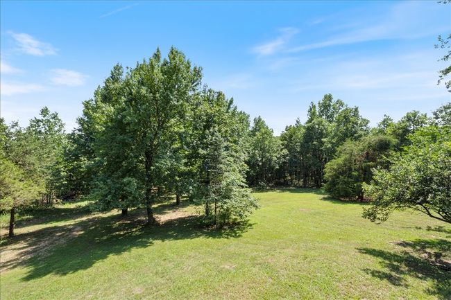 Backyard | Image 28