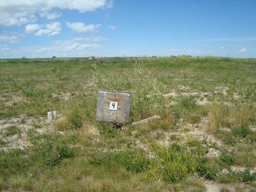 520 Coulee Trail, Stavely, AB, T0L1Z0 | Card Image