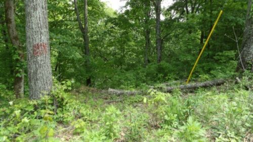 0 Rock Springs Rd, Celina, TN, 38551 | Card Image