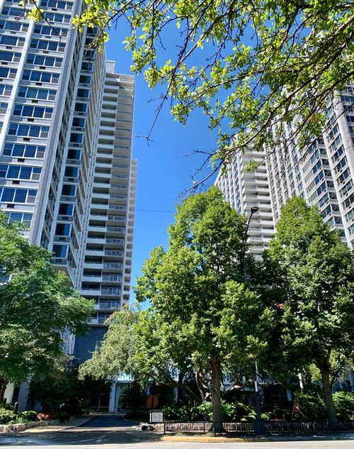 828-4250 N Marine Dr, Chicago, IL, 60613-1760 | Card Image