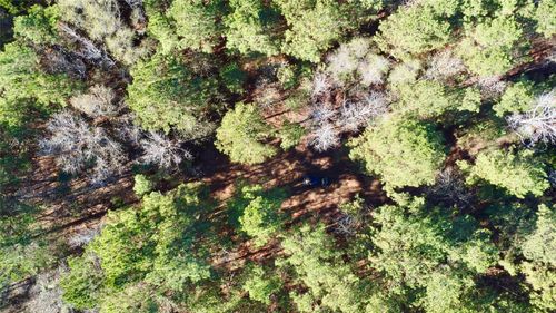 TBD County Road 2921, Hughes Springs, TX, 75656 | Card Image