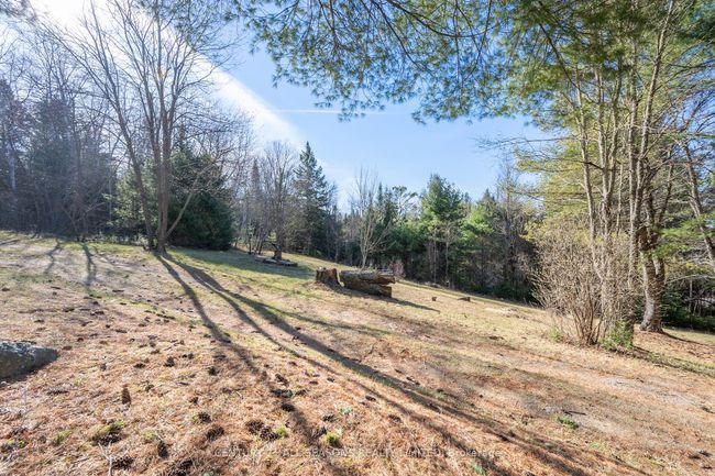 37 Mayhew Rd, House other with 3 bedrooms, 1 bathrooms and 6 parking in Carl ON | Image 7