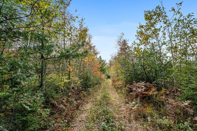 00 Highway 41, Home with 0 bedrooms, 0 bathrooms and null parking in Kaladar ON | Image 8
