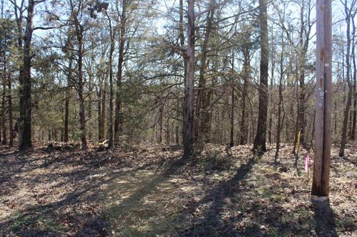 Lot 20 Kelly Court, Cabot, AR, 72023 | Card Image